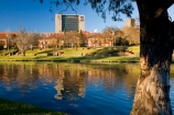 Adelaide;Adelaide-University;Australasian;Australia;Australian;calm;eucalypt;eucalypts;eucalyptus;eucalytis;gum;gum-tree;gum-trees;gums;lake;Lake-Torrens;lakes;placid;quiet;reflection;reflections;river;River-Torrens;rivers;S.A.;SA;serene;smooth;South-Australia;State-Capital;still;The-University-of-Adelaide;Torrens-Lake;Torrens-River;tranquil;tree;trees;University-of-Adelaide;water