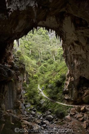 australasia;Australia;australian;Blue-Mountains;cave;cave-interior;cavern;cavernous;caverns;caves;caving;Devils-Coach-House;Devils-Coach-House;formation;geology;grotto;grottos;Jenolan-Caves;limestone;n.s.w.;natural-archway;Nettle-Cave;Nettles-Cave;New-South-Wales;nsw;rock;rock-formation;Rock-Formations;stalactite;stalactites;UN-world-heritage-site;underground;UNESCO-World-Heritage-Site;united-nations-world-heritage-si;world-heritage;world-heritage-area;world-heritage-areas;World-Heritage-Park;world-heritage-site;World-Heritage-Sites