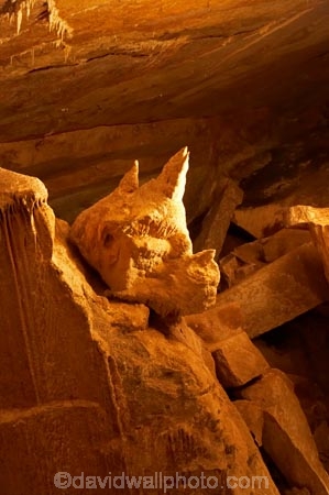 australasia;Australia;australian;Blue-Mountains;cave;cave-interior;cavern;caverns;caves;caving;formation;geology;grotto;grottos;Jenolan-Caves;limestone;Lucas-Cave;Lucas-Caves;n.s.w.;New-South-Wales;nsw;Rhino-Stalagmite;Rhinocerous-Stalagmite;rock;rock-formation;Rock-Formations;stalagmite;stalagmites;UN-world-heritage-site;underground;UNESCO-World-Heritage-Site;united-nations-world-heritage-si;world-heritage;world-heritage-area;world-heritage-areas;World-Heritage-Park;world-heritage-site;World-Heritage-Sites