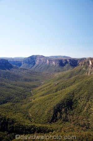 Australasia;Australia;Australian;Blackheath;Blue-Mountains;Blue-Mountains-N.P.;Blue-Mountains-National-Park;Blue-Mountains-NP;bluff;bluffs;cliff;cliffs;escarpment;escarpments;eucalypt;eucalypts;eucalyptus;eucalytis;Evans-Lookout;Grose-Valley;gum;gum-tree;gum-trees;gums;lookout;lookouts;mountainside;mountainsides;N.S.W.;New-South-Wales;NSW;panorama;panoramas;scene;scenes;scenic-view;scenic-views;steep;tree;trees;UN-world-heritage-site;UNESCO-World-Heritage-Site;united-nations-world-heritage-site;View;viewpoint;viewpoints;views;vista;vistas;world-heritage;world-heritage-area;world-heritage-areas;World-Heritage-Park;World-Heritage-site;World-Heritage-Sites