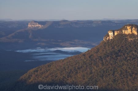 Australasia;Australia;Australian;Blue-Mountains;Blue-Mountains-N.P.;Blue-Mountains-National-Park;Blue-Mountains-NP;escarpment;escarpments;eucalypt;eucalypts;eucalyptus;eucalytis;fog;foggy;gum;gum-tree;gum-trees;gums;Jamison-Valley;Katoomba;Leura;mist;misty;N.S.W.;New-South-Wales;NSW;sandstone;Sublime-Point;Sublime-Point-Lookout;tree;trees;UN-world-heritage-site;UNESCO-World-Heritage-Site;united-nations-world-heritage-site;world-heritage;world-heritage-area;world-heritage-areas;World-Heritage-Park;World-Heritage-site;World-Heritage-Sites