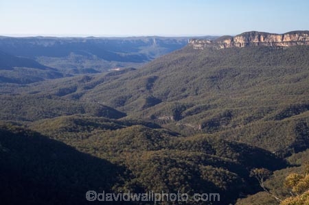 Australasia;Australia;Australian;Blue-Mountains;Blue-Mountains-N.P.;Blue-Mountains-National-Park;Blue-Mountains-NP;Eaglehawk-Lookout;eucalypt;eucalypts;eucalyptus;eucalytis;gum;gum-tree;gum-trees;gums;Jamison-Valley;Katoomba;N.S.W.;New-South-Wales;NSW;tree;trees;UN-world-heritage-site;UNESCO-World-Heritage-Site;united-nations-world-heritage-site;world-heritage;world-heritage-area;world-heritage-areas;World-Heritage-Park;World-Heritage-site;World-Heritage-Sites