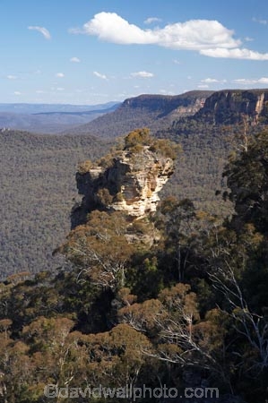 Australasia;Australia;Australian;Blue-Mountains;Blue-Mountains-N.P.;Blue-Mountains-National-Park;Blue-Mountains-NP;bluff;bluffs;cliff;cliffs;Jamison-Valley;Katoomba;mountainside;mountainsides;N.S.W.;New-South-Wales;NSW;Orphan-Rock;sandstone;steep;Tha-Orphan-Rock;UN-world-heritage-site;UNESCO-World-Heritage-Site;united-nations-world-heritage-site;world-heritage;world-heritage-area;world-heritage-areas;World-Heritage-Park;World-Heritage-site;World-Heritage-Sites