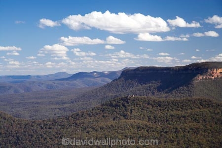 Australasia;Australia;Australian;Blue-Mountains;Blue-Mountains-N.P.;Blue-Mountains-National-Park;Blue-Mountains-NP;Echo-Point;escarpment;escarpments;eucalypt;eucalypts;eucalyptus;eucalytis;gum;gum-tree;gum-trees;gums;Jamison-Valley;Katoomba;N.S.W.;New-South-Wales;NSW;Ruined-Castle-Rock-Formation;tree;trees;UN-world-heritage-site;UNESCO-World-Heritage-Site;united-nations-world-heritage-site;world-heritage;world-heritage-area;world-heritage-areas;World-Heritage-Park;World-Heritage-site;World-Heritage-Sites