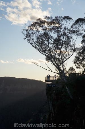 Australasia;Australia;Australian;Blue-Mountains;Blue-Mountains-N.P.;Blue-Mountains-National-Park;Blue-Mountains-NP;Echo-Point-Lookout;eucalypt;eucalypts;eucalyptus;eucalytis;gum;gum-tree;gum-trees;gums;Jamison-Valley;Katoomba;lookout;lookouts;N.S.W.;New-South-Wales;NSW;panorama;panoramas;people;person;scene;scenes;scenic-view;scenic-views;tourism;tourist;tourists;tree;trees;UN-world-heritage-site;UNESCO-World-Heritage-Site;united-nations-world-heritage-site;view;viewpoint;viewpoints;views;vista;vistas;world-heritage;world-heritage-area;world-heritage-areas;World-Heritage-Park;World-Heritage-site;World-Heritage-Sites