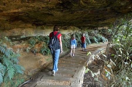 Australia;Blue-Mountains;Blue-Mountains-N.P.;Blue-Mountains-National-Park;Blue-Mountains-NP;boy;boys;brother;brothers;child;children;families;family;girl;girls;hike;hiker;hikers;hiking;hiking-track;hiking-tracks;kid;kids;little-boy;little-girl;mother;mothers;N.S.W.;New-South-Wales;NSW;overhang;overhangs;people;person;sibbling;sibblings;sister;sisters;small-boys;small-girls;track;tracks;trail;trails;tramp;tramper;trampers;tramping;trek;treker;trekers;treking;trekker;trekkers;trekking;UN-world-heritage-site;Under-Cliff-Track;Undercliff-Track;Undercliff-Trail;UNESCO-World-Heritage-Site;united-nations-world-heritage-site;walk;walker;walkers;walking;walking-track;walking-tracks;walking-trail;walking-trails;Wentworth-Falls;world-heritage;world-heritage-area;world-heritage-areas;World-Heritage-Park;World-Heritage-site;World-Heritage-Sites