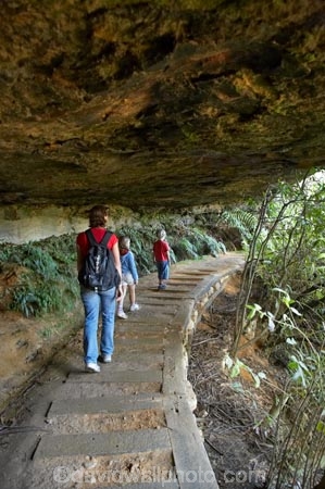 Australia;Blue-Mountains;Blue-Mountains-N.P.;Blue-Mountains-National-Park;Blue-Mountains-NP;boy;boys;brother;brothers;child;children;families;family;girl;girls;hike;hiker;hikers;hiking;hiking-track;hiking-tracks;kid;kids;little-boy;little-girl;mother;mothers;N.S.W.;New-South-Wales;NSW;overhang;overhangs;people;person;sibbling;sibblings;sister;sisters;small-boys;small-girls;track;tracks;trail;trails;tramp;tramper;trampers;tramping;trek;treker;trekers;treking;trekker;trekkers;trekking;UN-world-heritage-site;Under-Cliff-Track;Undercliff-Track;Undercliff-Trail;UNESCO-World-Heritage-Site;united-nations-world-heritage-site;walk;walker;walkers;walking;walking-track;walking-tracks;walking-trail;walking-trails;Wentworth-Falls;world-heritage;world-heritage-area;world-heritage-areas;World-Heritage-Park;World-Heritage-site;World-Heritage-Sites