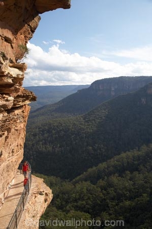 Australia;Blue-Mountains;Blue-Mountains-N.P.;Blue-Mountains-National-Park;Blue-Mountains-NP;bluff;bluffs;bush;cliff;cliff-face;cliffs;escarpment;escarpments;eucalypt;eucalypts;eucalyptus;eucalytis;forest;forests;gum;gum-tree;gum-trees;gums;high;hike;hiker;hikers;hiking;hiking-track;hiking-tracks;Jamison-Valley;mountainside;mountainsides;N.S.W.;National-Pass-Track;National-Pass-Trail;New-South-Wales;NSW;overhang;overhangs;people;person;precipice;railing;steep;track;tracks;trail;trails;tramp;tramper;trampers;tramping;tree;trees;trek;treker;trekers;treking;trekker;trekkers;trekking;UN-world-heritage-site;UNESCO-World-Heritage-Site;united-nations-world-heritage-site;walk;walker;walkers;walking;walking-track;walking-tracks;walking-trail;walking-trails;Wentworth-Falls;world-heritage;world-heritage-area;world-heritage-areas;World-Heritage-Park;World-Heritage-site;World-Heritage-Sites