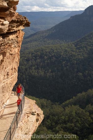 Australia;Blue-Mountains;Blue-Mountains-N.P.;Blue-Mountains-National-Park;Blue-Mountains-NP;bluff;bluffs;boy;boys;brother;brothers;bush;child;children;cliff;cliff-face;cliffs;escarpment;escarpments;eucalypt;eucalypts;eucalyptus;eucalytis;families;family;forest;forests;girl;girls;gum;gum-tree;gum-trees;gums;high;hike;hiker;hikers;hiking;hiking-track;hiking-tracks;Jamison-Valley;kid;kids;little-boy;little-girl;mother;mothers;mountainside;mountainsides;N.S.W.;National-Pass-Track;National-Pass-Trail;New-South-Wales;NSW;overhang;overhangs;people;person;precipice;railing;sibbling;sibblings;sister;sisters;small-boys;small-girls;steep;track;tracks;trail;trails;tramp;tramper;trampers;tramping;tree;trees;trek;treker;trekers;treking;trekker;trekkers;trekking;UN-world-heritage-site;UNESCO-World-Heritage-Site;united-nations-world-heritage-site;walk;walker;walkers;walking;walking-track;walking-tracks;walking-trail;walking-trails;Wentworth-Falls;world-heritage;world-heritage-area;world-heritage-areas;World-Heritage-Park;World-Heritage-site;World-Heritage-Sites