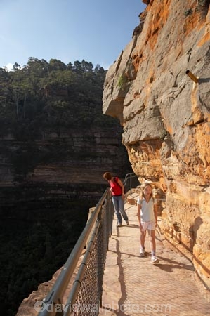 Australia;Blue-Mountains;Blue-Mountains-N.P.;Blue-Mountains-National-Park;Blue-Mountains-NP;bluff;bluffs;cliff;cliffs;escarpment;escarpments;hike;hiker;hikers;hiking;hiking-track;hiking-tracks;Jamison-Valley;mountainside;mountainsides;N.S.W.;National-Pass-Track;National-Pass-Trail;New-South-Wales;NSW;people;person;steep;track;tracks;trail;trails;tramp;tramper;trampers;tramping;trek;treker;trekers;treking;trekker;trekkers;trekking;UN-world-heritage-site;UNESCO-World-Heritage-Site;united-nations-world-heritage-site;walk;walker;walkers;walking;walking-track;walking-tracks;walking-trail;walking-trails;Wentworth-Falls;world-heritage;world-heritage-area;world-heritage-areas;World-Heritage-Park;World-Heritage-site;World-Heritage-Sites
