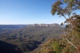 Australasia;Australia;Australian;Blue-Mountains;Blue-Mountains-N.P.;Blue-Mountains-National-Park;Blue-Mountains-NP;Eaglehawk-Lookout;eucalypt;eucalypts;eucalyptus;eucalytis;gum;gum-tree;gum-trees;gums;Jamison-Valley;Katoomba;N.S.W.;New-South-Wales;NSW;tree;trees;UN-world-heritage-site;UNESCO-World-Heritage-Site;united-nations-world-heritage-site;world-heritage;world-heritage-area;world-heritage-areas;World-Heritage-Park;World-Heritage-site;World-Heritage-Sites