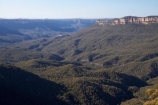 Australasia;Australia;Australian;Blue-Mountains;Blue-Mountains-N.P.;Blue-Mountains-National-Park;Blue-Mountains-NP;Eaglehawk-Lookout;eucalypt;eucalypts;eucalyptus;eucalytis;gum;gum-tree;gum-trees;gums;Jamison-Valley;Katoomba;N.S.W.;New-South-Wales;NSW;tree;trees;UN-world-heritage-site;UNESCO-World-Heritage-Site;united-nations-world-heritage-site;world-heritage;world-heritage-area;world-heritage-areas;World-Heritage-Park;World-Heritage-site;World-Heritage-Sites