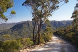 Australasia;Australia;Australian;Blue-Mountains;Blue-Mountains-N.P.;Blue-Mountains-National-Park;Blue-Mountains-NP;countryside;eucalypt;eucalypts;eucalyptus;eucalytis;Glenraphael-Dr;Glenraphael-Dr.;Glenraphael-Drive;gravel-road;gravel-roads;gum;gum-tree;gum-trees;gums;Katoomba;metal-road;metal-roads;metalled-road;metalled-roads;N.S.W.;Narrow-Neck;Narrow-Neck-Plateau;New-South-Wales;NSW;road;roads;rural;tree;trees;UN-world-heritage-site;UNESCO-World-Heritage-Site;united-nations-world-heritage-site;world-heritage;world-heritage-area;world-heritage-areas;World-Heritage-Park;World-Heritage-site;World-Heritage-Sites