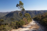 Australasia;Australia;Australian;Blue-Mountains;Blue-Mountains-N.P.;Blue-Mountains-National-Park;Blue-Mountains-NP;countryside;eucalypt;eucalypts;eucalyptus;eucalytis;Glenraphael-Dr;Glenraphael-Dr.;Glenraphael-Drive;gravel-road;gravel-roads;gum;gum-tree;gum-trees;gums;Katoomba;metal-road;metal-roads;metalled-road;metalled-roads;N.S.W.;Narrow-Neck;Narrow-Neck-Plateau;New-South-Wales;NSW;road;roads;rural;tree;trees;UN-world-heritage-site;UNESCO-World-Heritage-Site;united-nations-world-heritage-site;world-heritage;world-heritage-area;world-heritage-areas;World-Heritage-Park;World-Heritage-site;World-Heritage-Sites