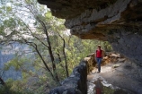 Australia;Blue-Mountains;Blue-Mountains-N.P.;Blue-Mountains-National-Park;Blue-Mountains-NP;bluff;bluffs;cliff;cliffs;escarpment;escarpments;female;females;hike;hiker;hikers;hiking;hiking-track;hiking-tracks;Jamison-Valley;mountainside;mountainsides;N.S.W.;New-South-Wales;NSW;overhang;overhangs;people;person;steep;track;tracks;trail;trails;tramp;tramper;trampers;tramping;trek;treker;trekers;treking;trekker;trekkers;trekking;UN-world-heritage-site;Under-Cliff-Track;Undercliff-Track;Undercliff-Trail;UNESCO-World-Heritage-Site;united-nations-world-heritage-site;walk;walker;walkers;walking;walking-track;walking-tracks;walking-trail;walking-trails;Wentworth-Falls;woman;women;world-heritage;world-heritage-area;world-heritage-areas;World-Heritage-Park;World-Heritage-site;World-Heritage-Sites