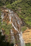 Australia;Blue-Mountains;Blue-Mountains-N.P.;Blue-Mountains-National-Park;Blue-Mountains-NP;bluff;bluffs;cascade;cascades;cliff;cliff-face;cliffs;creek;creeks;escarpment;escarpments;falls;mountainside;mountainsides;N.S.W.;National-Pass-Trail;natural;nature;New-South-Wales;NSW;scene;scenic;steep;stream;streams;UN-world-heritage-site;UNESCO-World-Heritage-Site;united-nations-world-heritage-site;water;water-fall;water-falls;waterfall;waterfalls;Wentworth-falls;wet;world-heritage;world-heritage-area;world-heritage-areas;World-Heritage-Park;World-Heritage-site;World-Heritage-Sites