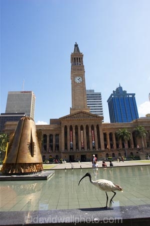 architecture;art-galleries;art-gallery;australasia;Australia;australian;bird;birds;Brisbane;building;buildings;c.b.d.;cbd;central-business-district;City-Hall;clock;clock-tower;clocks;colonial;column;columns;facade;facades;historic;historical;ibis;Italian-renaissance;King-George-Square;museum;museums;pond;ponds;pool;pools;Queensland;tower;towers;town-hall;town-halls