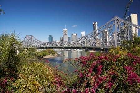 Australasia;Australia;Australian;bourganvilliia;Brisbane;Brisbane-River;Petrie-Bight;Qld;Queensland;river;rivers;Story-Bridge