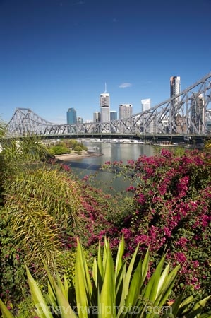 Australasia;Australia;Australian;bourganvilliia;Brisbane;Brisbane-River;Petrie-Bight;Qld;Queensland;river;rivers;Story-Bridge