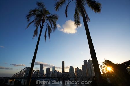 Australasia;Australia;Australian;Brisbane;Brisbane-River;dusk;evening;nightfall;palm;palm-tree;palm-trees;palms;Petrie-Bight;Qld;Queensland;river;rivers;sky;Story-Bridge;twilight