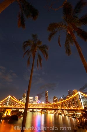 Australasia;Australia;Australian;Brisbane;Brisbane-River;dark;dusk;evening;light;lights;night;night-time;night_time;nightfall;palm;palm-tree;palm-trees;palms;Petrie-Bight;Qld;Queensland;river;rivers;sky;Story-Bridge;twilight