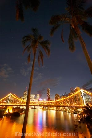 Australasia;Australia;Australian;Brisbane;Brisbane-River;dark;dusk;evening;light;lights;night;night-time;night_time;nightfall;palm;palm-tree;palm-trees;palms;Petrie-Bight;Qld;Queensland;river;rivers;sky;Story-Bridge;twilight