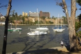 australasia;Australia;australian;boat;boats;Brisbane;Brisbane-River;catarmaran;city-botanic-gardens;marina;marinas;moor;moored;mooring;Queensland;river;riverside-walk;yacht;Yachts