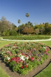 australasia;Australia;australian;botanic-gardens;botanical;Brisbane;City-Botanic-Gardens;flower;flower-bed;flower-beds;Flower-Garden;flower-gardens;flowers;palm;palms;Queensland
