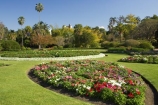 australasia;Australia;australian;botanic-gardens;botanical;Brisbane;City-Botanic-Gardens;flower;flower-bed;flower-beds;Flower-Garden;flower-gardens;flowers;palm;palms;Queensland