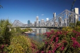 Australasia;Australia;Australian;bourganvilliia;Brisbane;Brisbane-River;Petrie-Bight;Qld;Queensland;river;rivers;Story-Bridge