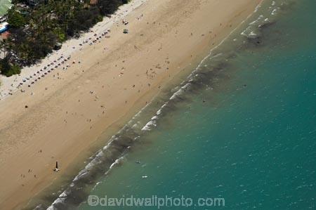 aerial;aerial-photo;aerial-photograph;aerial-photographs;aerial-photography;aerial-photos;aerial-view;aerial-views;aerials;Australasian;Australia;Australian;bathe;bather;bathers;bathing;beach;beaches;coast;coastal;coastline;coastlines;coasts;Coral-Sea;excitement;exciting;Four-Mile-Beach;freedom;holiday;holiday-destination;holiday-destinations;holidays;hot;leisure;North-Queensland;ocean;oceans;people;person;persons;play;playing;Port-Douglas;Qld;Queensland;recreation;relax;relaxing;sand;sand-sandy;sandy;sea;seas;shore;shoreline;shorelines;shores;sport;summer;sun-bake;sun-baking;sun_bathe;sun_bather;sun_bathers;sun_bathing;sunbathe;sunbather;sunbathers;sunbathing;swim;swimmer;swimmers;swimming;tourism;travel;Trinity-Bay;Tropcial-North-Queensland;tropical;vacation;vacations;water;wet;yellow-sand