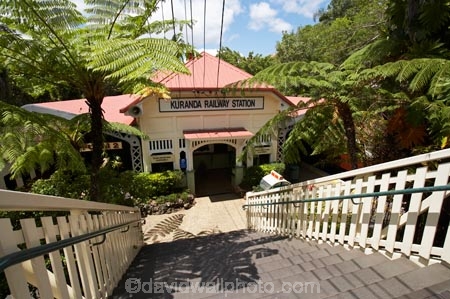 Australasian;Australia;Australian;Barron-River;Cairns;Kuranda;Kuranda-Railway;Kuranda-Railway-Station;Kuranda-Scenic-Railway;McAlister-Range;North-Queensland;platform;platforms;Qld;Queensland;rail;rail-station;rail-stations;railroad;railroads;rails;railway;railway-station;railway-stations;railways;tourism;train;train-station;train-stations;trains;transport;transportation;travel;tropical;Tropical-North-Queensland