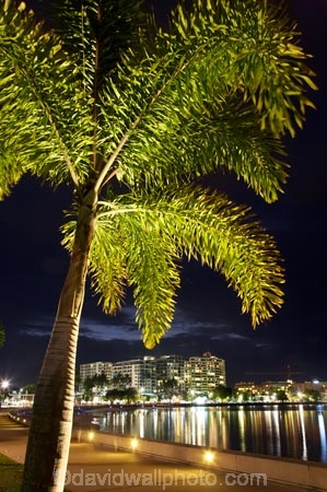 Australasian;Australia;Australian;Cairns;calm;dusk;esplanade;evening;nightfall;North-Queensland;palm;palm-tree;palm-trees;palms;placid;Qld;Queensland;quiet;reflection;reflections;serene;smooth;still;The-Esplanade;tranquil;Tropical-North-Queensland;twilight;water;waterfront