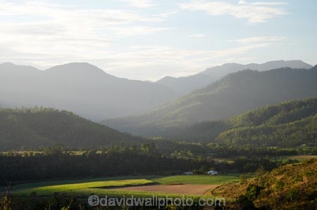 agricultural;agriculture;Australasian;Australia;Australian;Cairns;country;countryside;crop;crops;farm;farming;farmland;farms;field;fields;horticulture;Lamb-Range;Little-Mulgrave;meadow;meadows;North-Queensland;paddock;paddocks;pasture;pastures;Qld;Queensland;rural;Sugar-Cane;Sugar-Cane-Field;Sugar-Cane-Fields;Sugar-Cane-Plantation;Sugar-Cane-Plantations;Tropical-North-Queensland