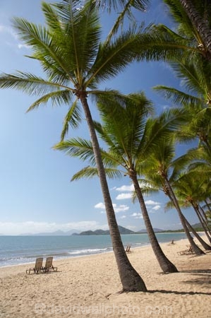 Australasian;Australia;Australian;beach;beaches;Cairns;coast;coastal;coastline;holiday;holiday-destination;holidays;North-Queensland;ocean;oceans;palm;Palm-Beach;Palm-Cove;palm-fringed-beach;palm-tree;palm-trees;palms;Qld;Queensland;sand;sandy;sea;seas;shore;shoreline;tropical;Tropical-North-Queensland;vacation;vacations