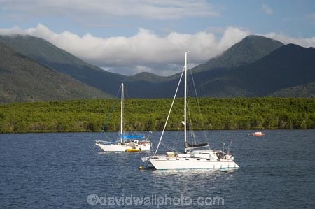 Australasian;Australia;Australian;boat;boats;Cairns;mangrove;mangroves;North-Queensland;Qld;Queensland;Trinity-Inlet;Tropcial-North-Queensland;tropical;Tropical-North-Queensland;water;yacht;yachts
