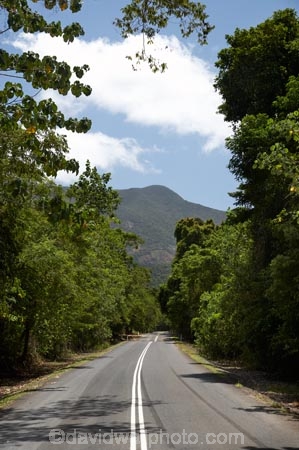 Australasian;Australia;Australian;beautiful;beauty;bush;centre-line;centre-lines;centre_line;centre_lines;centreline;centrelines;Daintree-Forest;Daintree-N.P.;Daintree-National-Park;Daintree-NP;Daintree-Rainforest;driving;endemic;forest;forests;green;highway;highways;native;native-bush;natural;nature;North-Queensland;open-road;open-roads;Qld;Queensland;rain-forest;rain-forests;rain_forest;rain_forests;rainforest;rainforests;road;road-trip;roads;scene;scenic;transport;transportation;travel;traveling;travelling;tree;trees;trip;Tropcial-North-Queensland;tropical;tropical-rainforest;tropical-rainforests;tropical-vegetation;UNESCO-World-Heritage-Site;Wiorld-Heritage-Site;wood;woods;World-Heritage-Area;World-Heritage-Park;World-Heritage-Site