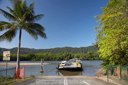 Australasian;Australia;Australian;beautiful;beauty;boat;boats;bush;car-ferries;car-ferry;Daintree-Ferry;Daintree-Forest;Daintree-N.P.;Daintree-National-Park;Daintree-NP;Daintree-Rainforest;Daintree-River;Daintree-River-Ferry;endemic;ferries;ferry;forest;forests;green;native;native-bush;natural;nature;North-Queensland;ocean;oceans;palm;palm-tree;palm-trees;palms;passenger-ferries;passenger-ferry;Qld;queensland;rain-forest;rain-forests;rain_forest;rain_forests;rainforest;rainforests;scene;scenic;sea;ship-ships;shipping;transport;transportation;travel;tree;trees;Tropcial-North-Queensland;tropical;tropical-rainforest;tropical-rainforests;tropical-vegetation;UNESCO-World-Heritage-Site;vehicle-ferries;vehicle-ferry;vessel;vessels;water;Wiorld-Heritage-Site;wood;woods;World-Heritage-Area;World-Heritage-Park;world-heritage-site