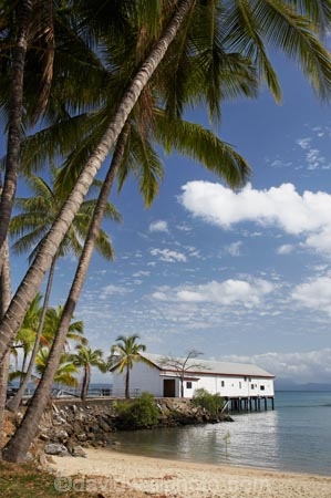 Australasian;Australia;Australian;beach;beaches;coast;coastal;coastline;Coral-Sea;Dicksons-Inlet;holiday;holiday-destination;holiday-destinations;holidays;jetties;jetty;North-Queensland;ocean;oceans;palm;palm-tree;palm-trees;palms;pier;piers;Port-Douglas;Port-Douglas-Park;Pt-Douglas;Pt.-Douglas;Qld;quay;Queensland;sand;sandy;sea;seas;shore;shoreline;tourism;travel;Tropcial-North-Queensland;tropical;vacation;vacations;waterside;wharf;Wharf-Building;wharfes;wharves