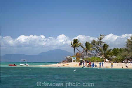 Australasian;Australia;Australian;Barrier-Reef;cay;cays;coast;coastal;coastline;coastlines;coasts;coral-cay;coral-cays;coral-reef;coral-reefs;Coral-Sea;dive-site;dive-sites;diver;divers;ecosystem;environment;Great-Barrier-Reef;Great-Barrier-Reef-Marine-Park;holiday;holidaying;holidays;Low-Is;Low-Is.;Low-Island;Low-Islands;Low-Isles;marine-environment;North-Queensland;ocean;Oceans;palm;palm-tree;palm-trees;palms;people;person;persons;Port-Douglas;Qld;Queensland;reef;reefs;sand-cay;sand-cays;Sea;Seas;shore;shoreline;shorelines;shores;snorkel;snorkeler;snorkelers;snorkeling;South-Pacific;swim;swimmer;swimmers;swimming;Tasman-Sea;tourism;tourist;tourists;travel;traveling;travelling;Tropcial-North-Queensland;tropical;tropical-reef;tropical-reefs;UNESCO-World-Heritage-Site;vacation;vacationers;vacationing;vacations;water;Wiorld-Heritage-Site;World-Heritage-Area;World-Heritage-Park