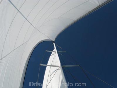 Australasian;Australia;Australian;blue;boat;boats;cruise;cruises;launch;launches;main-sail;mast;masts;North-Queensland;Qld;Queensland;sail;Sails;sky;spinnaker;tour-boat;Tour-Boats;tourism;tourist;tourist-boat;tourist-boats;Tropcial-North-Queensland;water;Wavedancer;white;yacht;yachts