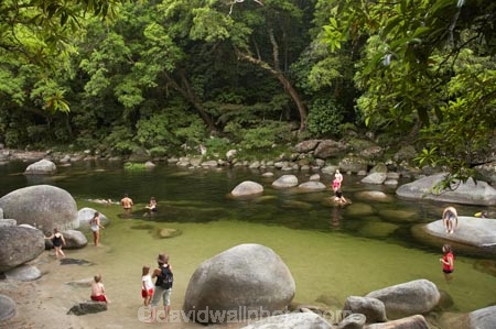 Australasian;Australia;Australian;beautiful;beauty;boulder;boulders;brook;brooks;bush;creek;creeks;Daintree-N.P.;Daintree-National-Park;Daintree-NP;endemic;families;family;flora;flow;forest;forestry;forests;girl;girls;green;lush;Mossman-Gorge;Mossman-Gully;Mossman-River;native;native-bush;natural;nature;North-Queensland;outdoor;outdoors;people-children;Qld;Queensland;rain-forest;rain-forests;rain_forest;rain_forests;rainforest;rainforests;rock;rocks;scene;scenic;stone;stones;stream;streams;swim;swimmers;swimming-hole;swimming-holes;tourism;tourist;tourists;travel;tree;trees;Tropcial-North-Queensland;tropical-rainforest;tropical-rainforests;tropical-vegetation;water;watercourse;wet;woman;women;wood;woods