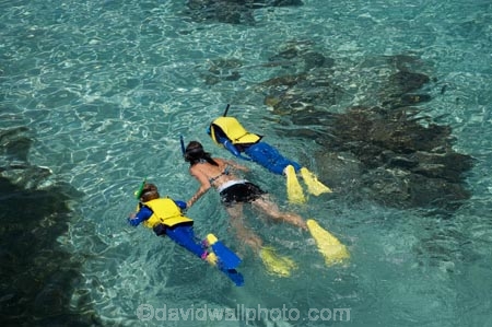 australasian;Australia;australian;Barrier-Reef;bikini;bikinis;boy;boys;cairns;cay;cays;child;children;coast;coastal;coastline;coastlines;coasts;coral-cay;coral-cays;coral-reef;coral-reefs;Coral-Sea;dive-site;dive-sites;diver;divers;Ecosystem;Environment;families;family;girl;girls;Great-Barrier-Reef;Great-Barrier-Reef-Marine-Park;Green-Is;Green-Is-NP;Green-Is.;green-island;Green-Island-N.P.;Green-Island-National-Park;Green-Island-NP;Green-Island-Resort;holiday;holiday-destination;holiday-destinations;holidaying;Holidays;marine-environment;mothe;North-Queensland;ocean;oceans;people;person;Persons;Qld;queensland;rash-suit;rash-suits;rashsuit;rashsuits;reef;reefs;sand-cay;sand-cays;sea;seas;shore;shoreline;shorelines;Shores;snorkel;snorkeler;snorkelers;snorkeling;south-pacific;stinger-suit;stinger-suits;swim;swimmer;swimmers;swimming;tasman-sea;tourism;tourist;tourists;travel;traveler;traveling;traveller;travelling;Tropcial-North-Queensland;tropical;tropical-reef;tropical-reefs;UNESCO-World-Heritage-Site;Vacation;Vacationers;vacationing;Vacations;water;Wiorld-Heritage-Site;woman;women;world-heritage-area;World-Heritage-Park;world-heritage-site