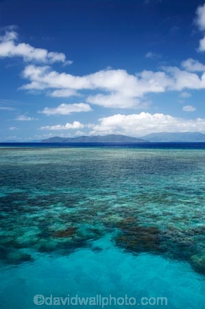australasian;Australia;australian;Barrier-Reef;cairns;cay;cays;coast;coastal;coastline;coastlines;coasts;coral-cay;coral-cays;coral-reef;coral-reefs;Coral-Sea;dive-site;dive-sites;Ecosystem;Environment;Great-Barrier-Reef;Great-Barrier-Reef-Marine-Park;Green-Is;Green-Is-NP;Green-Is.;green-island;Green-Island-N.P.;Green-Island-National-Park;Green-Island-NP;Green-Island-Resort;holiday;holiday-destination;holiday-destinations;Holidays;marine-environment;North-Queensland;ocean;oceans;Qld;queensland;reef;reefs;sand-cay;sand-cays;sea;seas;shore;shoreline;shorelines;Shores;south-pacific;tasman-sea;tourism;travel;Tropcial-North-Queensland;tropical;tropical-reef;tropical-reefs;UNESCO-World-Heritage-Site;Vacation;Vacations;water;Wiorld-Heritage-Site;world-heritage-area;World-Heritage-Park;world-heritage-site