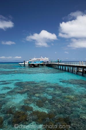 australasian;Australia;australian;Barrier-Reef;boat;boats;cairns;cay;cays;coast;coastal;coastline;coastlines;coasts;coral-cay;coral-cays;coral-reef;coral-reefs;Coral-Sea;cruise;cruises;dive-site;dive-sites;Ecosystem;Environment;Great-Barrier-Reef;Great-Barrier-Reef-Marine-Park;Green-Is;Green-Is-NP;Green-Is.;green-island;Green-Island-N.P.;Green-Island-National-Park;Green-Island-NP;Green-Island-Resort;holiday;holiday-destination;holiday-destinations;Holidays;jetties;jetty;launch;launches;marine-environment;North-Queensland;ocean;oceans;pier;piers;Qld;queensland;reef;reefs;sand-cay;sand-cays;sea;seas;shore;shoreline;shorelines;Shores;south-pacific;tasman-sea;tour-boat;tour-boats;tourism;tourist;tourist-boat;tourist-boats;travel;Tropcial-North-Queensland;tropical;tropical-reef;tropical-reefs;UNESCO-World-Heritage-Site;Vacation;Vacations;water;waterside;wharf;wharfes;wharves;Wiorld-Heritage-Site;world-heritage-area;World-Heritage-Park;world-heritage-site