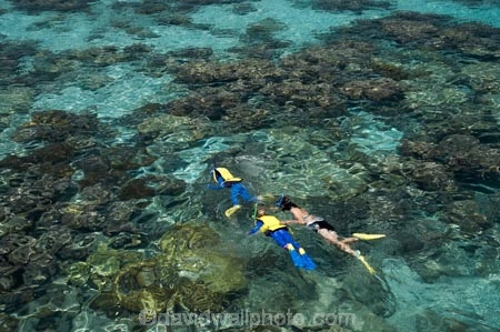 australasian;Australia;australian;Barrier-Reef;bikini;bikinis;boy;boys;cairns;cay;cays;child;children;coast;coastal;coastline;coastlines;coasts;coral-cay;coral-cays;coral-reef;coral-reefs;Coral-Sea;dive-site;dive-sites;diver;divers;Ecosystem;Environment;families;family;girl;girls;Great-Barrier-Reef;Great-Barrier-Reef-Marine-Park;Green-Is;Green-Is-NP;Green-Is.;green-island;Green-Island-N.P.;Green-Island-National-Park;Green-Island-NP;Green-Island-Resort;holiday;holiday-destination;holiday-destinations;holidaying;Holidays;marine-environment;mothe;North-Queensland;ocean;oceans;people;person;Persons;Qld;queensland;rash-suit;rash-suits;rashsuit;rashsuits;reef;reefs;sand-cay;sand-cays;sea;seas;shore;shoreline;shorelines;Shores;snorkel;snorkeler;snorkelers;snorkeling;south-pacific;stinger-suit;stinger-suits;swim;swimmer;swimmers;swimming;tasman-sea;tourism;tourist;tourists;travel;traveler;traveling;traveller;travelling;Tropcial-North-Queensland;tropical;tropical-reef;tropical-reefs;UNESCO-World-Heritage-Site;Vacation;Vacationers;vacationing;Vacations;water;Wiorld-Heritage-Site;woman;women;world-heritage-area;World-Heritage-Park;world-heritage-site