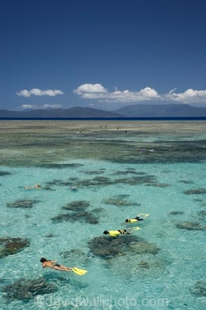 australasian;Australia;australian;Barrier-Reef;bikini;bikinis;cairns;cay;cays;coast;coastal;coastline;coastlines;coasts;coral-cay;coral-cays;coral-reef;coral-reefs;Coral-Sea;dive-site;dive-sites;diver;divers;Ecosystem;Environment;girl;girls;Great-Barrier-Reef;Great-Barrier-Reef-Marine-Park;Green-Is;Green-Is-NP;Green-Is.;green-island;Green-Island-N.P.;Green-Island-National-Park;Green-Island-NP;Green-Island-Resort;holiday;holiday-destination;holiday-destinations;holidaying;Holidays;marine-environment;North-Queensland;ocean;oceans;people;person;persons;Qld;queensland;reef;reefs;sand-cay;sand-cays;sea;seas;shore;shoreline;shorelines;Shores;snorkel;snorkeler;snorkelers;snorkeling;south-pacific;swim;swimmer;swimmers;swimming;tasman-sea;tourism;tourist;tourists;travel;traveler;traveling;traveller;travelling;Tropcial-North-Queensland;tropical;tropical-reef;tropical-reefs;UNESCO-World-Heritage-Site;vacation;vacationers;vacationing;vacations;water;Wiorld-Heritage-Site;woman;women;world-heritage-area;World-Heritage-Park;world-heritage-site