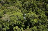 aerial;aerial-photo;aerial-photograph;aerial-photographs;aerial-photography;aerial-photos;aerial-view;aerial-views;aerials;Australasian;Australia;Australian;Barron-Gorge;Barron-Gorge-National-Park;beautiful;beauty;bush;cable-car;cable-cars;cable-way;cable-ways;cableway;cableways;Cairns;endemic;forest;forests;gondola;green;Kuranda;lush;McAlister-Range;native;native-bush;natural;nature;North-Queensland;Qld;Queensland;rain-forest;rain-forests;rain_forest;rain_forests;rainforest;rainforest-canopy;rainforests;scene;scenic;Sky-Rail;Skyrail;Skyrail-Rainforest-Cableway;tourism;travel;tree;tree-tops;trees;tropical-rainforest;tropical-rainforests;wood;woods