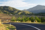 agricultural;agriculture;Australasian;Australia;Australian;bend;bends;Cairns;centre-line;centre-lines;centre_line;centre_lines;centreline;centrelines;corner;corners;country;countryside;driving;farm;farming;farmland;farms;field;fields;Goldsborough-Road;Goldsborough-Valley;highway;highways;meadow;meadows;North-Queensland;open-road;open-roads;paddock;paddocks;pasture;pastures;Qld;Queensland;road;road-trip;roads;rural;transport;transportation;travel;traveling;travelling;trip;Tropical-North-Queensland