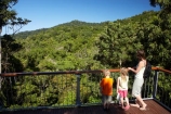 Aerial-Walkway;Australasian;Australia;Australian;beautiful;beauty;boardwalk;boy;boys;bush;Canopy-Tower;Canopy-Walkway;child;children;Daintree-Discovery-Centre;Daintree-Forest;Daintree-N.P.;Daintree-National-Park;Daintree-NP;Daintree-Rainforest;endemic;families;family;forest;forests;girl;girls;green;holiday;holidaying;holidays;native;native-bush;natural;nature;North-Queensland;Qld;Queensland;rain-forest;rain-forests;rain_forest;rain_forests;rainforest;rainforest-canopy;rainforests;scene;scenic;tourism;tourist;tourists;towers;travel;traveler;traveling;traveller;travelling;tree;trees;Tropcial-North-Queensland;tropical;tropical-rainforest;tropical-rainforests;tropical-vegetation;UNESCO-World-Heritage-Site;vacation;vacationers;vacationing;vacations;viewing-tower;walkway;Wiorld-Heritage-Site;wood;woods;World-Heritage-Area;World-Heritage-Park;World-Heritage-Site